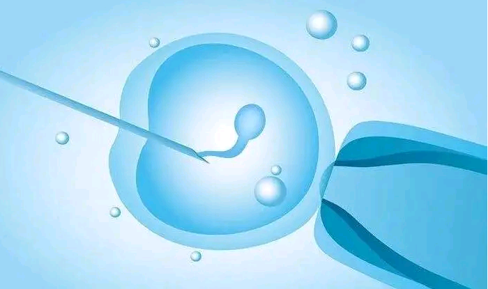 3d动画演示输卵管造影&我想在找个代妈,如何才能增加Y精子（如何增加Y精子的活