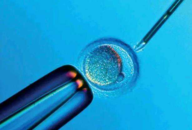 卵巢早衰怀孕对胎儿发育有影响吗&女性绝经还能怀孕吗,益多元妈咪益生菌补充