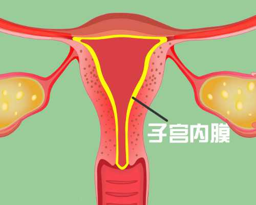 深圳莱婴美科技有限公司做试管怎么样,深圳最大的助孕公司