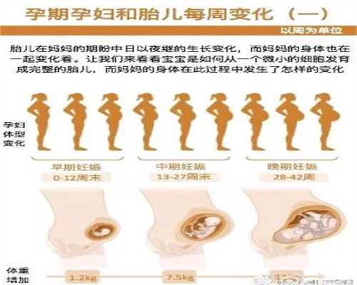 北京成功宝贝助孕公司_代孕吃药对宝宝的影响是