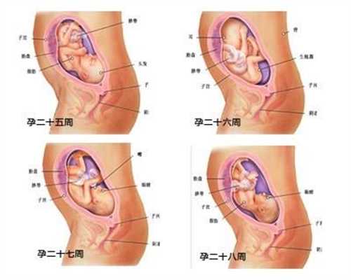 人工受孕生儿子几率大吗：做一个试管婴儿多少