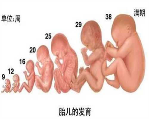 人工受孕生儿子几率大吗：做一个试管婴儿多少