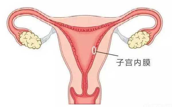 深圳助孕和试管婴儿 广东深圳试管婴儿可以用社保吗? ‘二阶b超单分析男女’