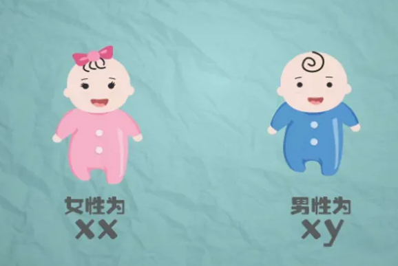 深圳有做代孕的机构 深圳罗湖医院做试管婴儿好吗? ‘酒精验男女几个月验准’