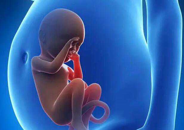 提供深圳代孕 深圳可以做试管婴儿的医院介绍 ‘男孕囊和女孕囊的区别’