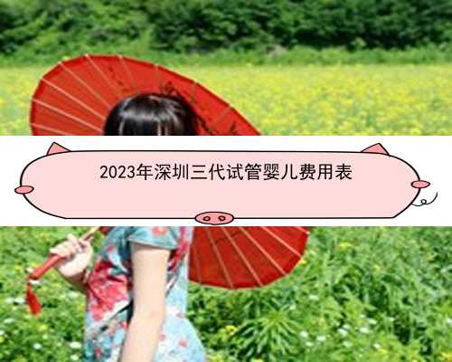 2023年深圳三代试管婴儿费用表